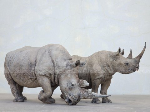 fiberglass rhino statue