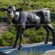 bronze calf statue