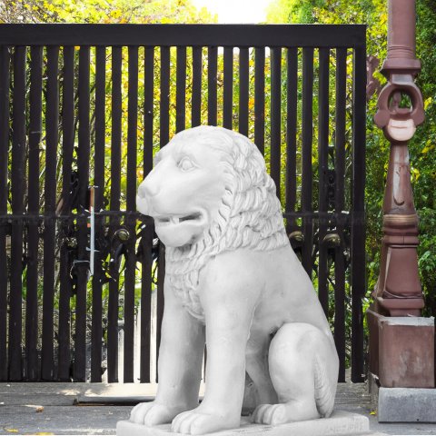 white marble lion statues