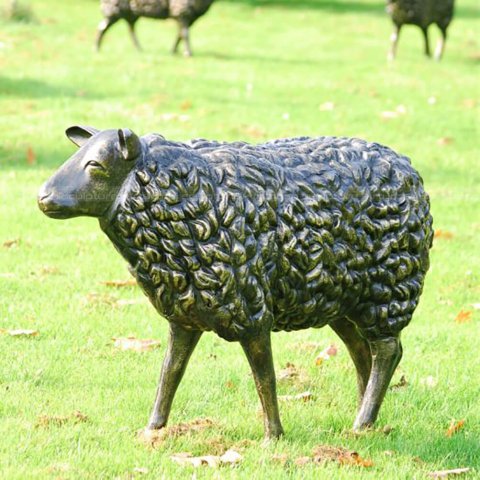 Bronze Sheep Sculpture