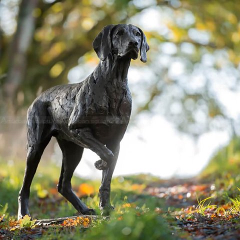 German Shorthaired Pointer Bronze Sculpture