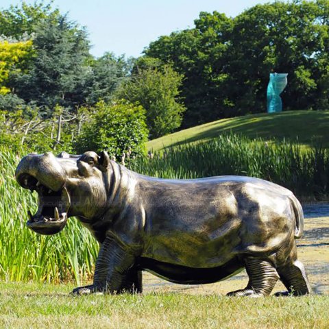 Hippo with Mouth Open Sculpture