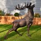 Stag Sculpture for Garden